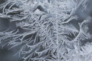 Macro capture of Ice Crystals In Window Glass Macro capture of Ice Crystals In Window Glass